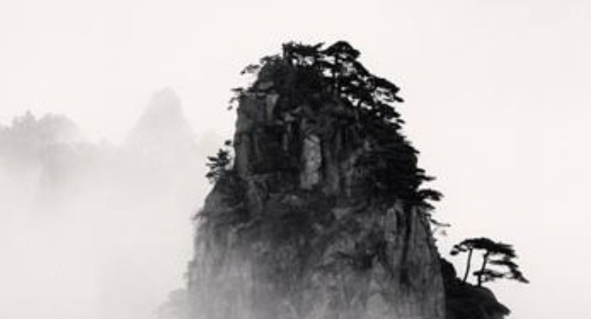 行业新观察 - 色花堂 - 行业新鲜资讯与观点输出地